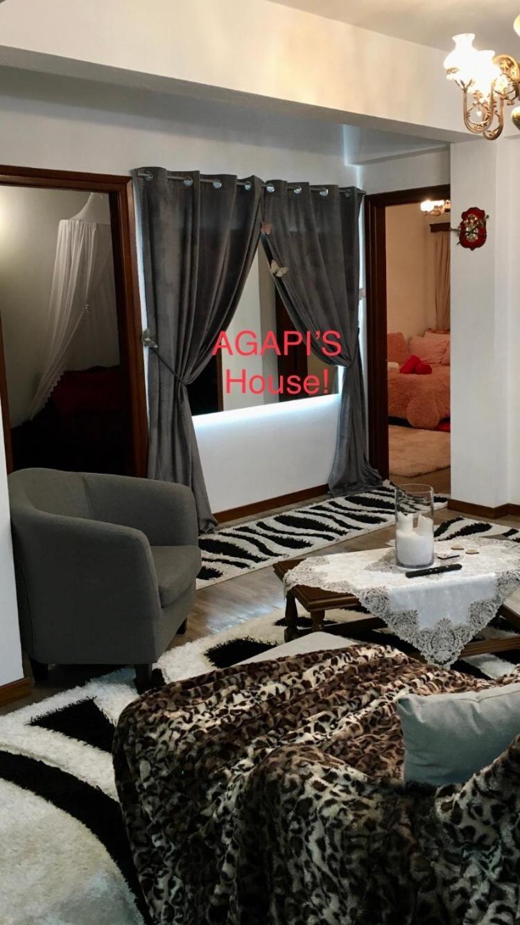 Agapi'S House Apartment Metsovo Exterior photo