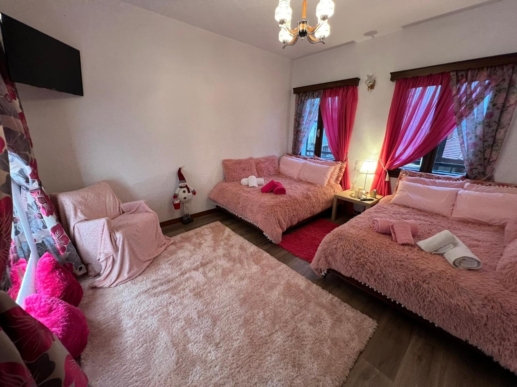 Agapi'S House Apartment Metsovo Exterior photo